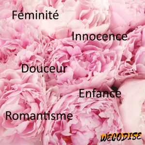 signification rose